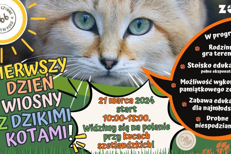 Wydarzenie: Pierwszy dzień wiosny z dzikimi kotami!, Kiedy? 2024-03-21 09:00, Gdzie? Karwieńska 3