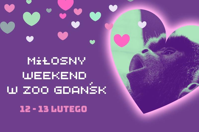 Wydarzenie: Miłosny weekend w Gdańskim Ogrodzie Zoologicznym, Kiedy? 2022-02-13 09:00, Gdzie? ul. Karwieńska 3
