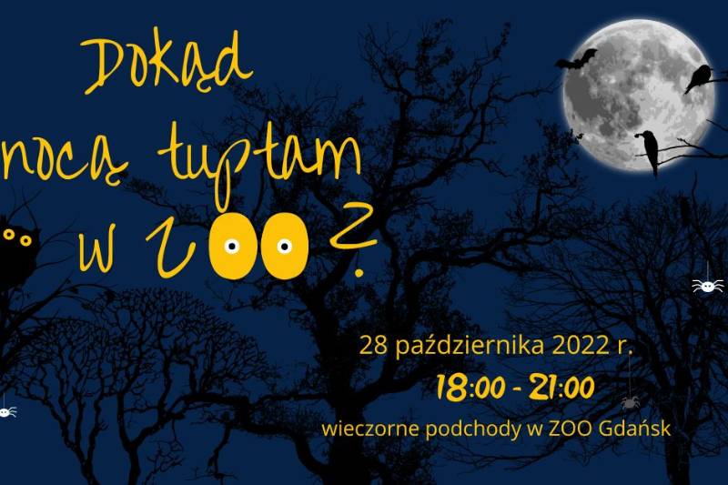 Wydarzenie: Dokąd nocą tuptam w zoo?, Kiedy? 2022-10-28 18:00, Gdzie? Karwieńska 3