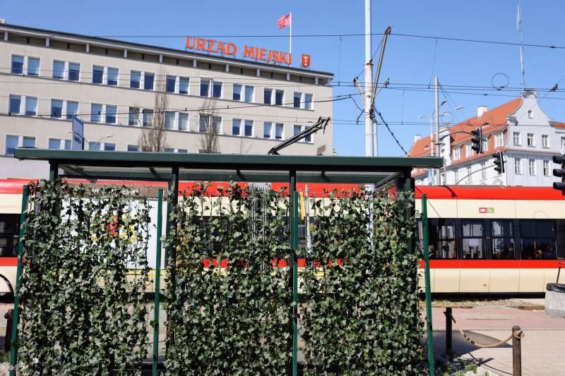 aktualność: Zielone przystanki w Gdańsku